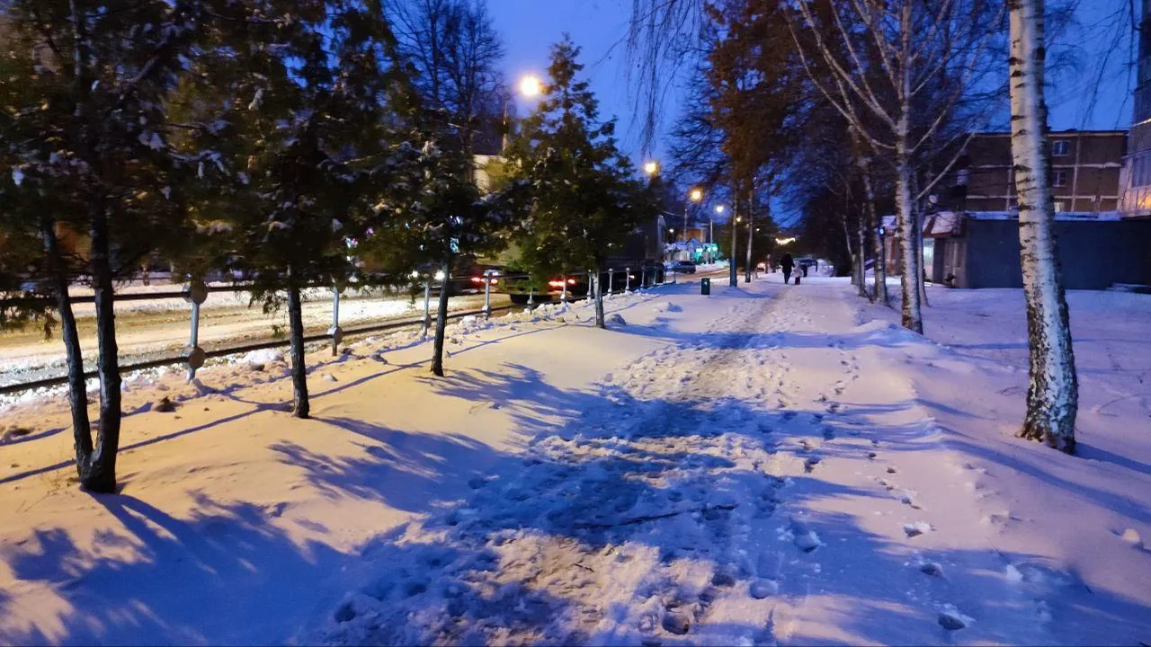 Фото: Елена Забелина