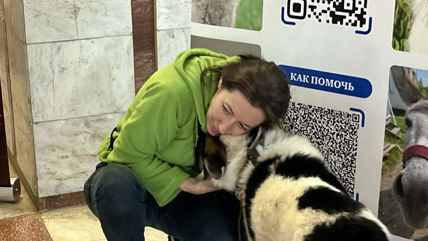 Фото: МедиаБанк Подмосковья/Анна Тюрюмина