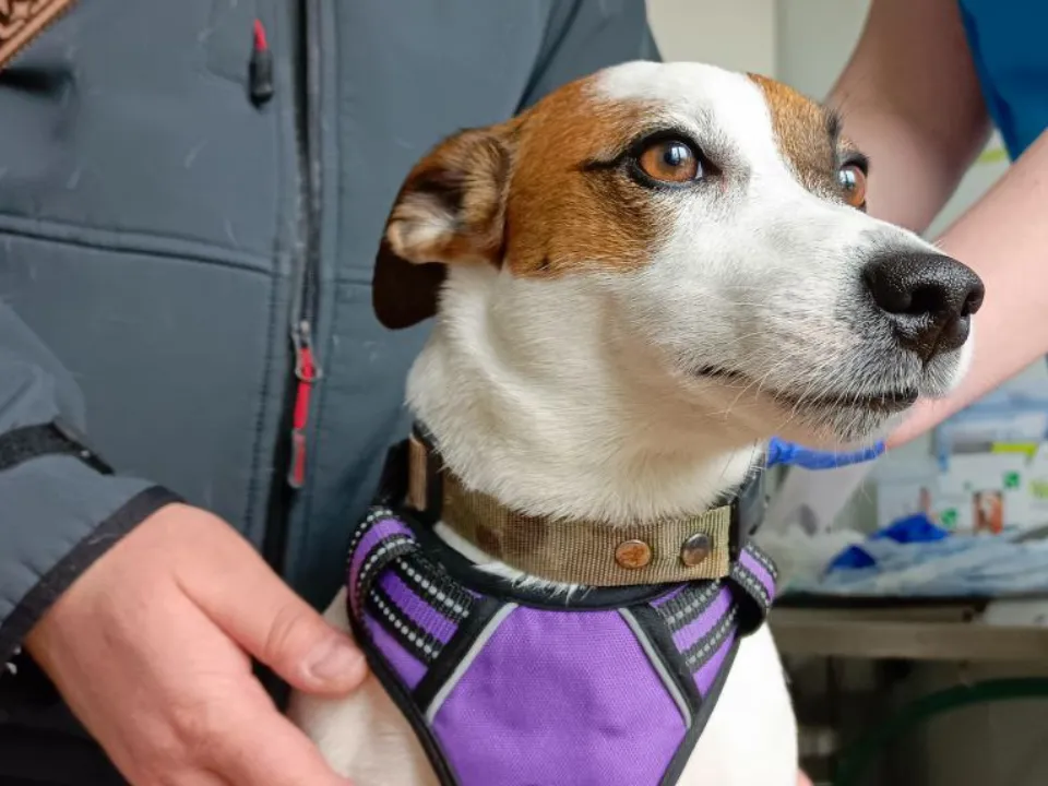 Фото: МедиаБанк Подмосковья/Евгений Рой