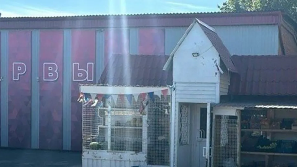 Фото: пресс-служба администрации Волоколамского г.о.