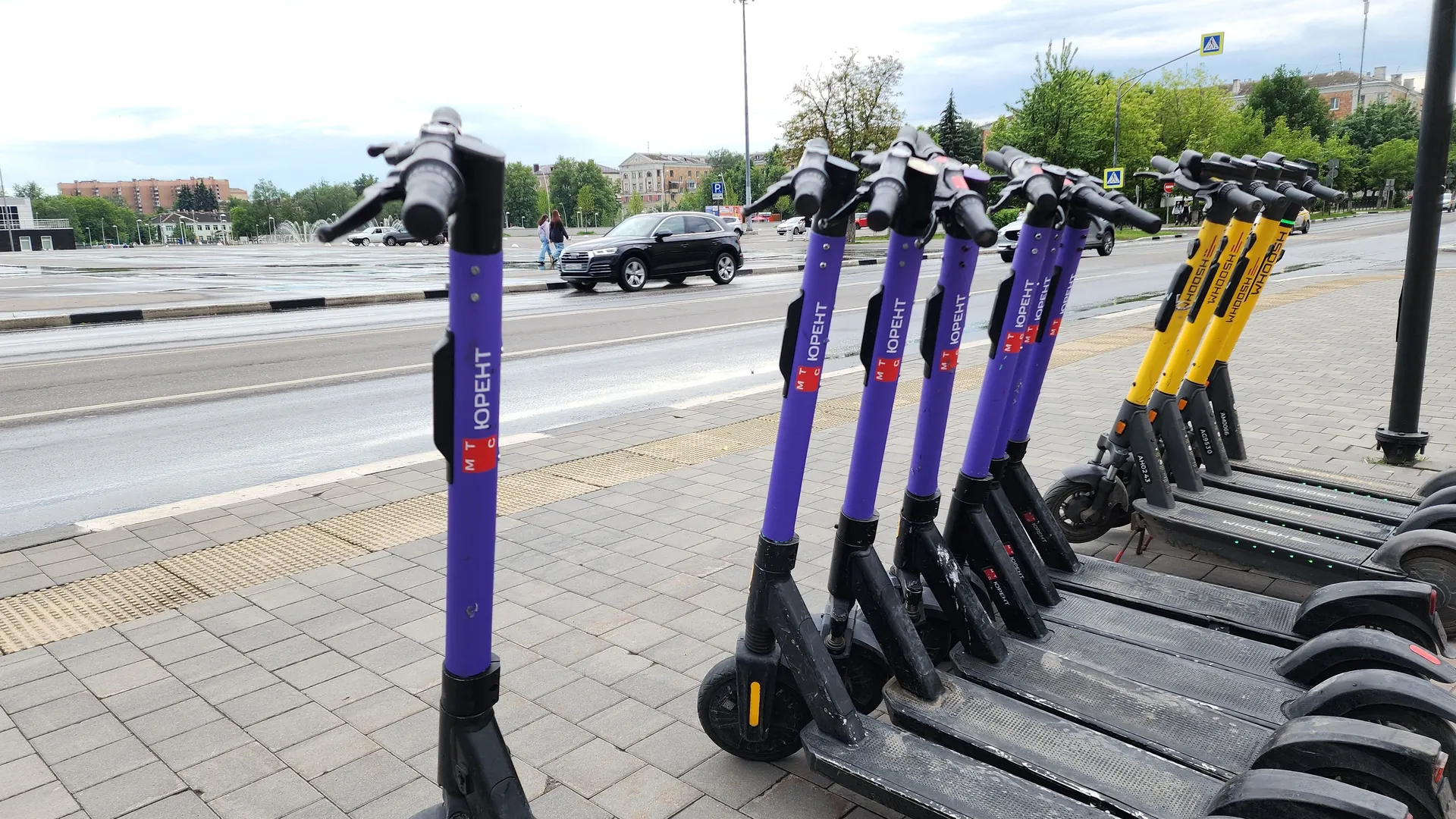 Фото: МедиаБанк Подмосковья/Нина Басистая