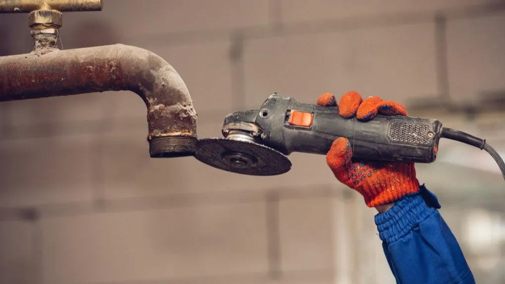 Источник: freepik.com