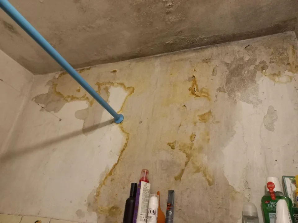 Фото: Валентина Смирнова