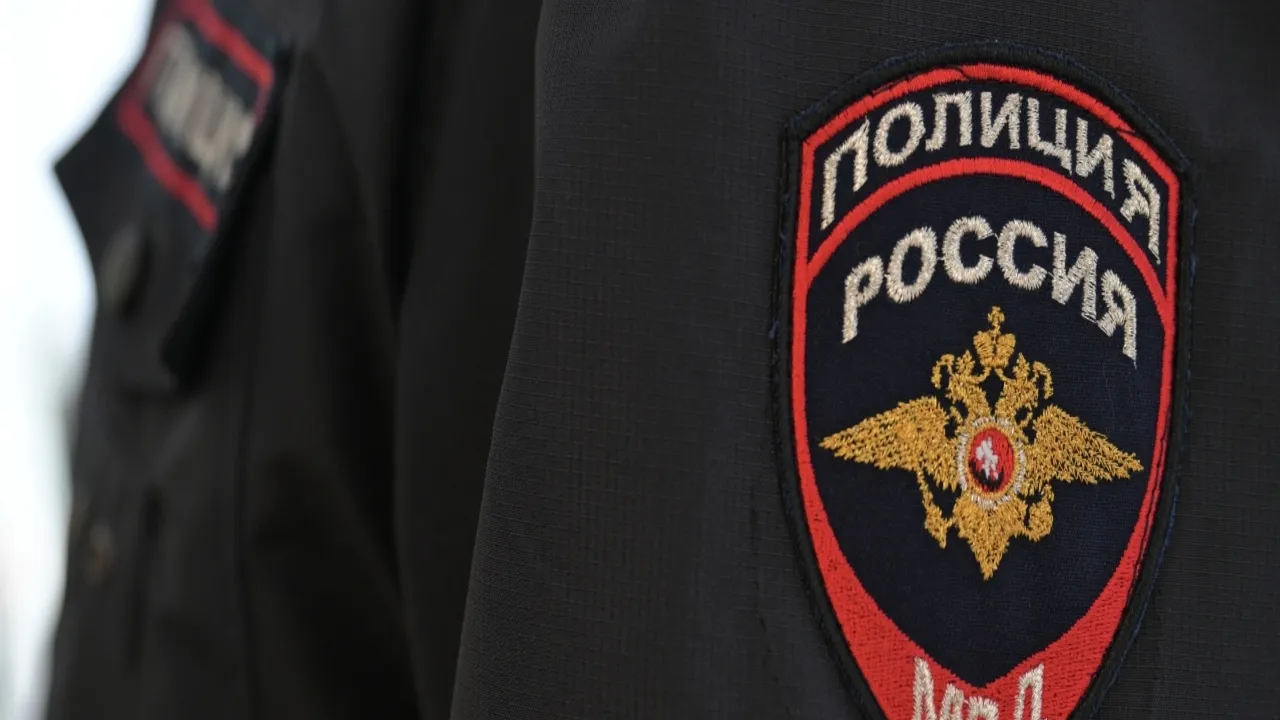 Фото: РИА Новости/Александр Кряжев