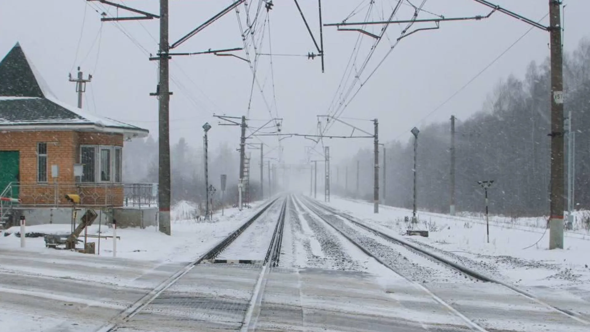 Фото: пресс-служба администрации городского округа Шатура