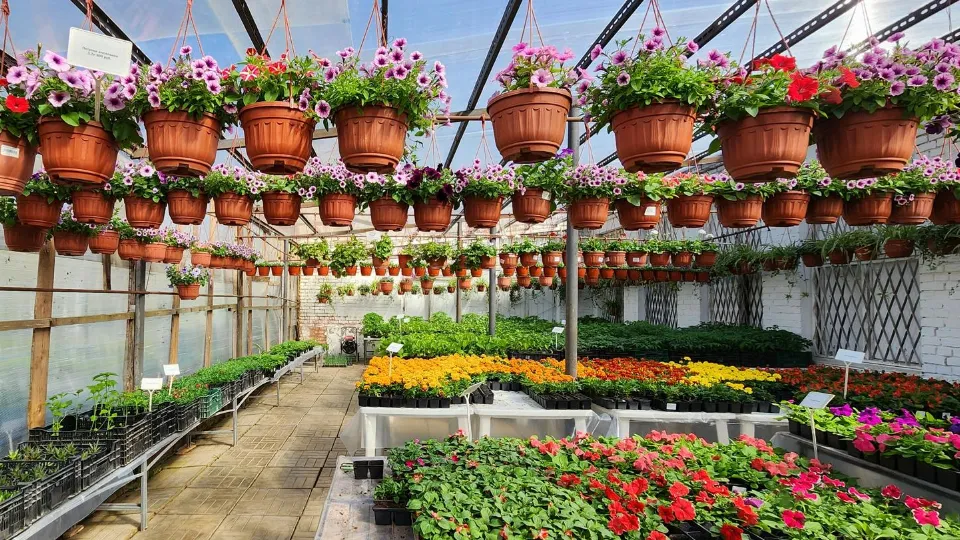 Фото: Юлия Смагринская