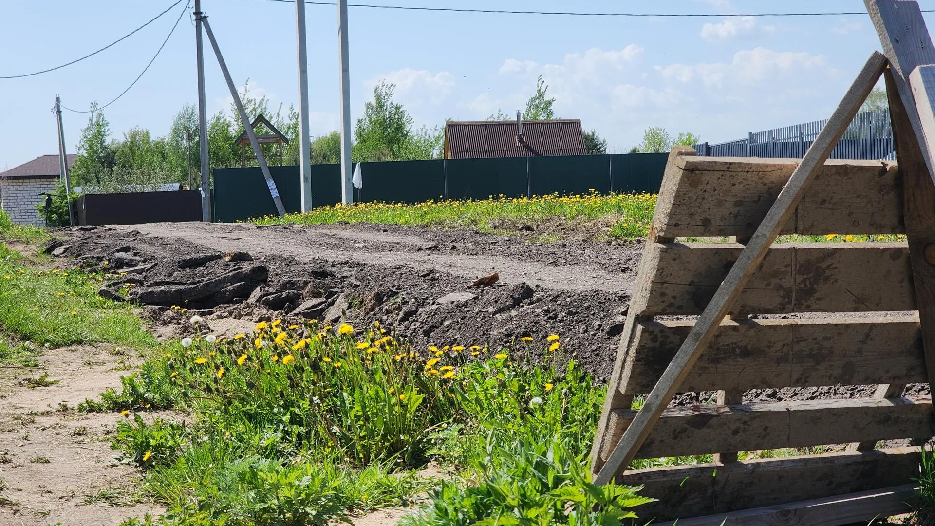 Фото: Иван Петрушин