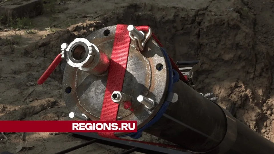 Фото: Елена Аботурова