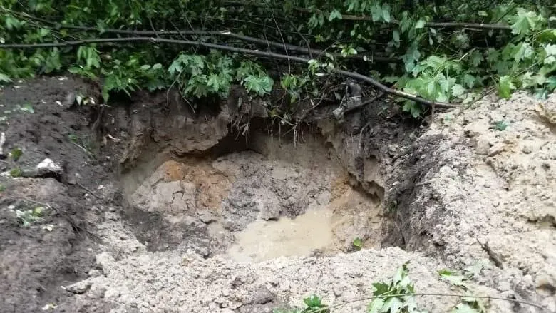 Фото Минэкологии