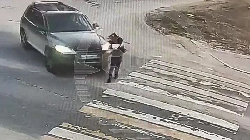 Девочка пошла выносить мусор и умерла: выяснились подробности смертельного ДТП в Павловском Посаде