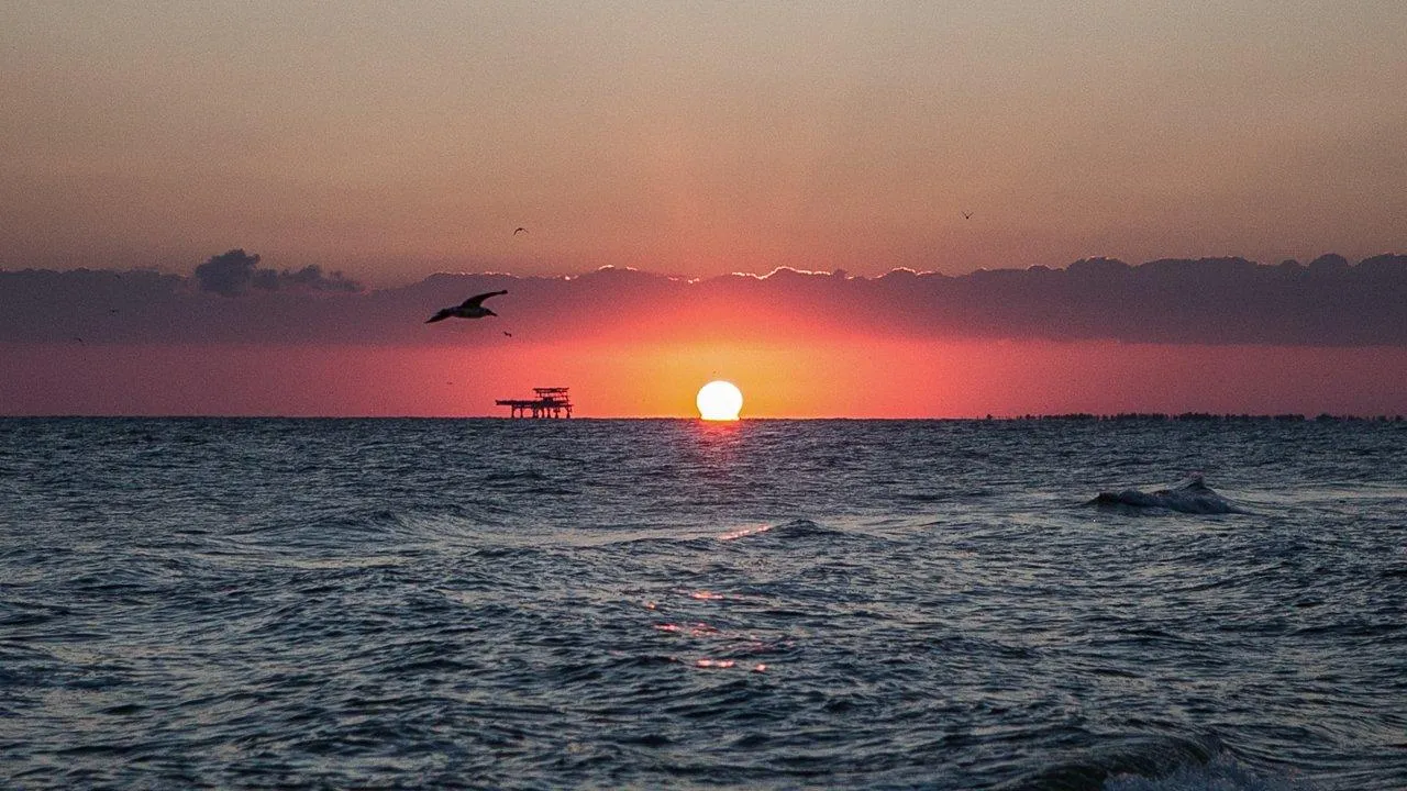 REGIONS/Роман Малышенко