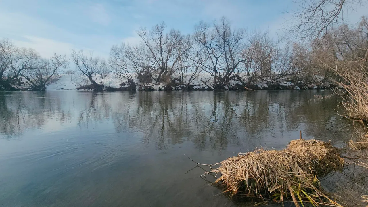 Маргарита Орлова