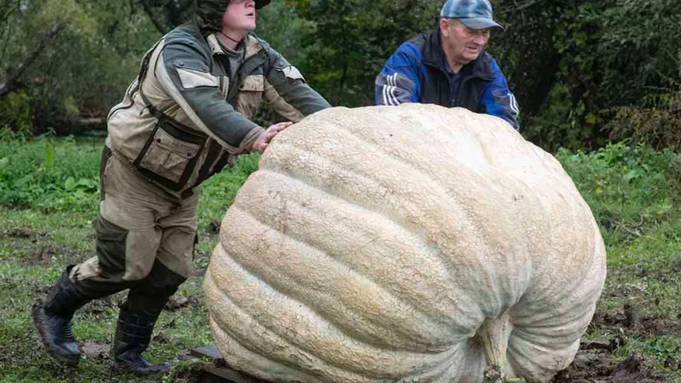 Фото: личный архив Андрея Гусева