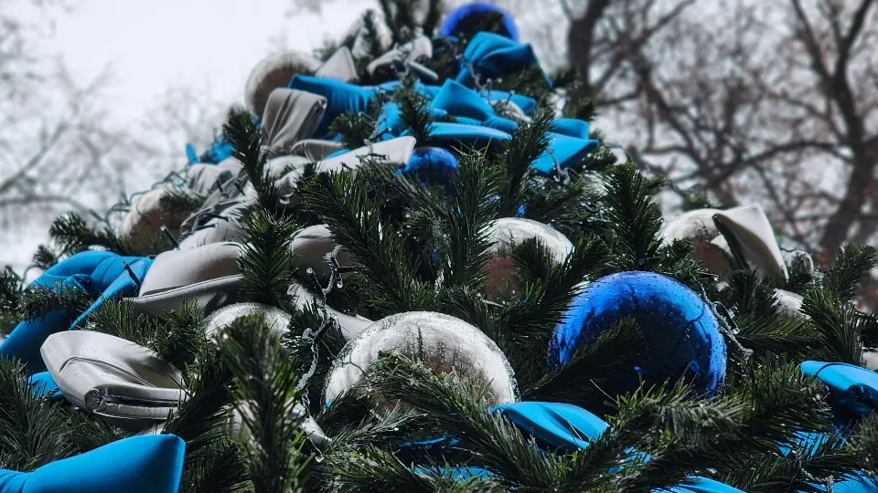 Фото: МедиаБанк Подмосковья/Валерия Тингаева