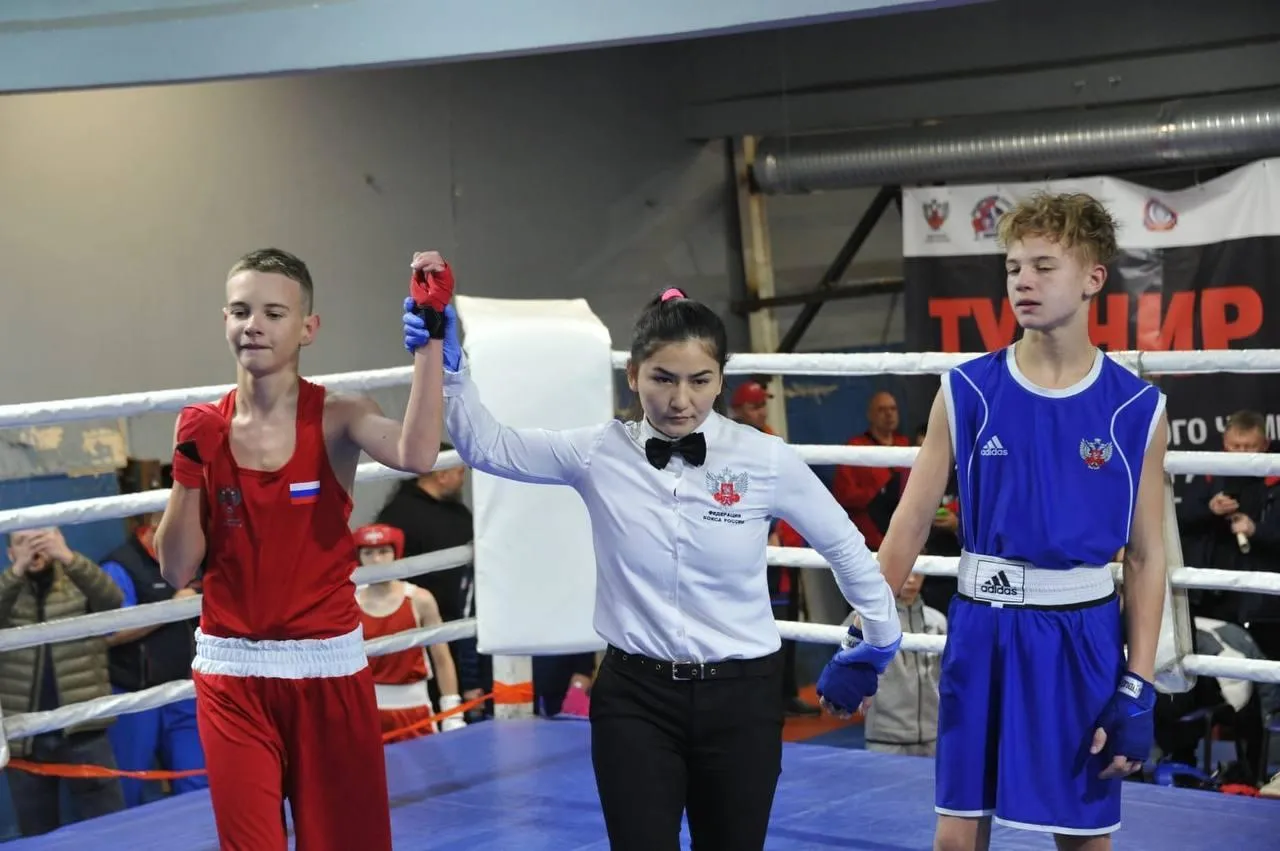 Фото: Федерация бокса Московской области