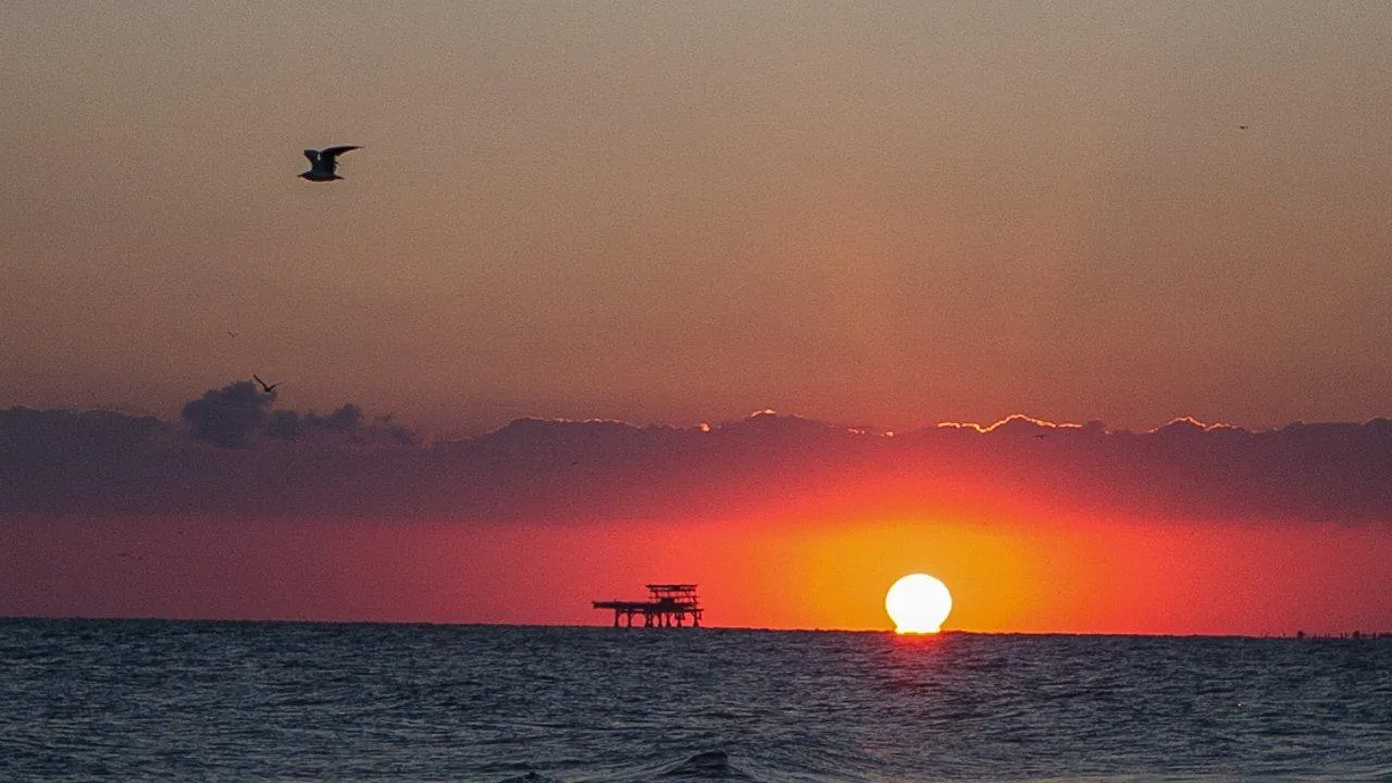 REGIONS/Роман Малышенко