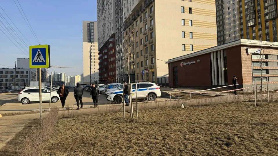 Фото: Полина Абраменко