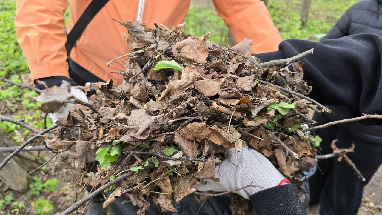 МедиаБанк Подмосковья/Яна Шаливская