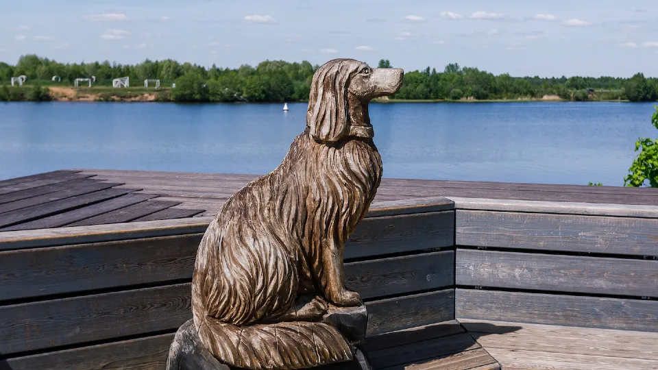 Фото: медиасток.рф