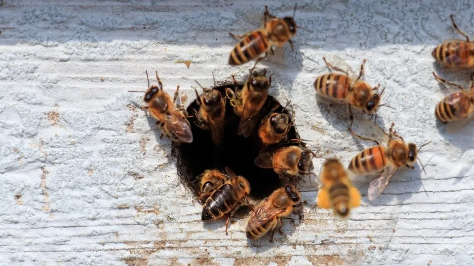 Фото: freepik.com