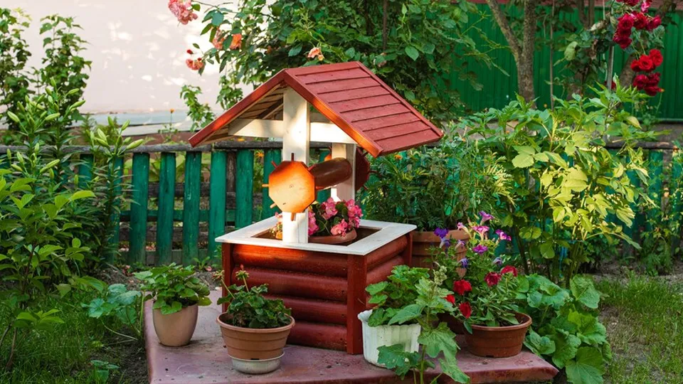 Фото: istockphoto.com