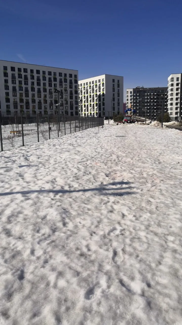 Фото: пресс-служба администрации г.о.Красногорск