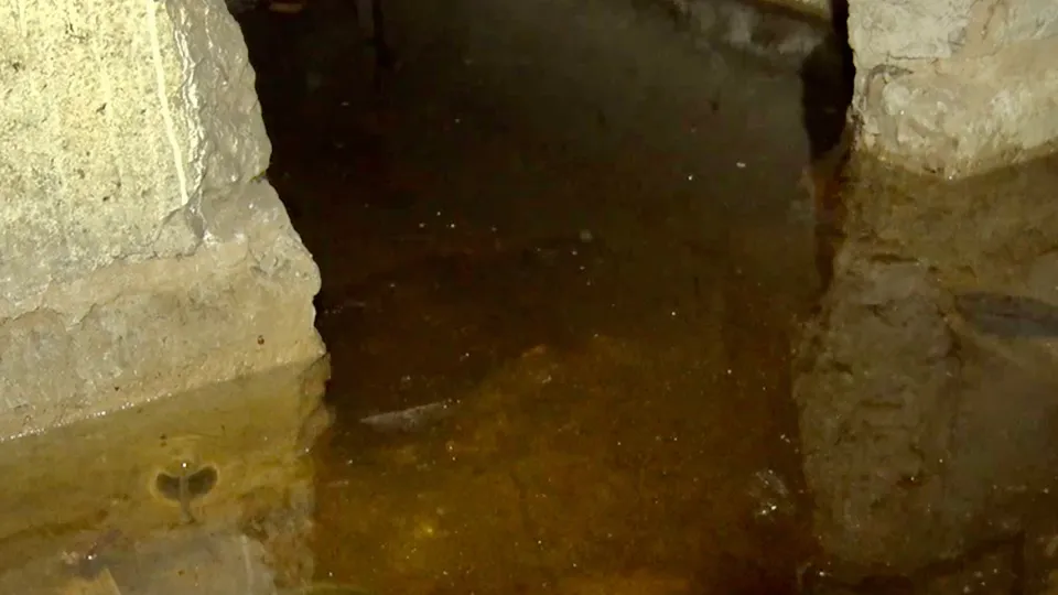 Фото: МедиаБанк Подмосковья/Данила Кирьянов