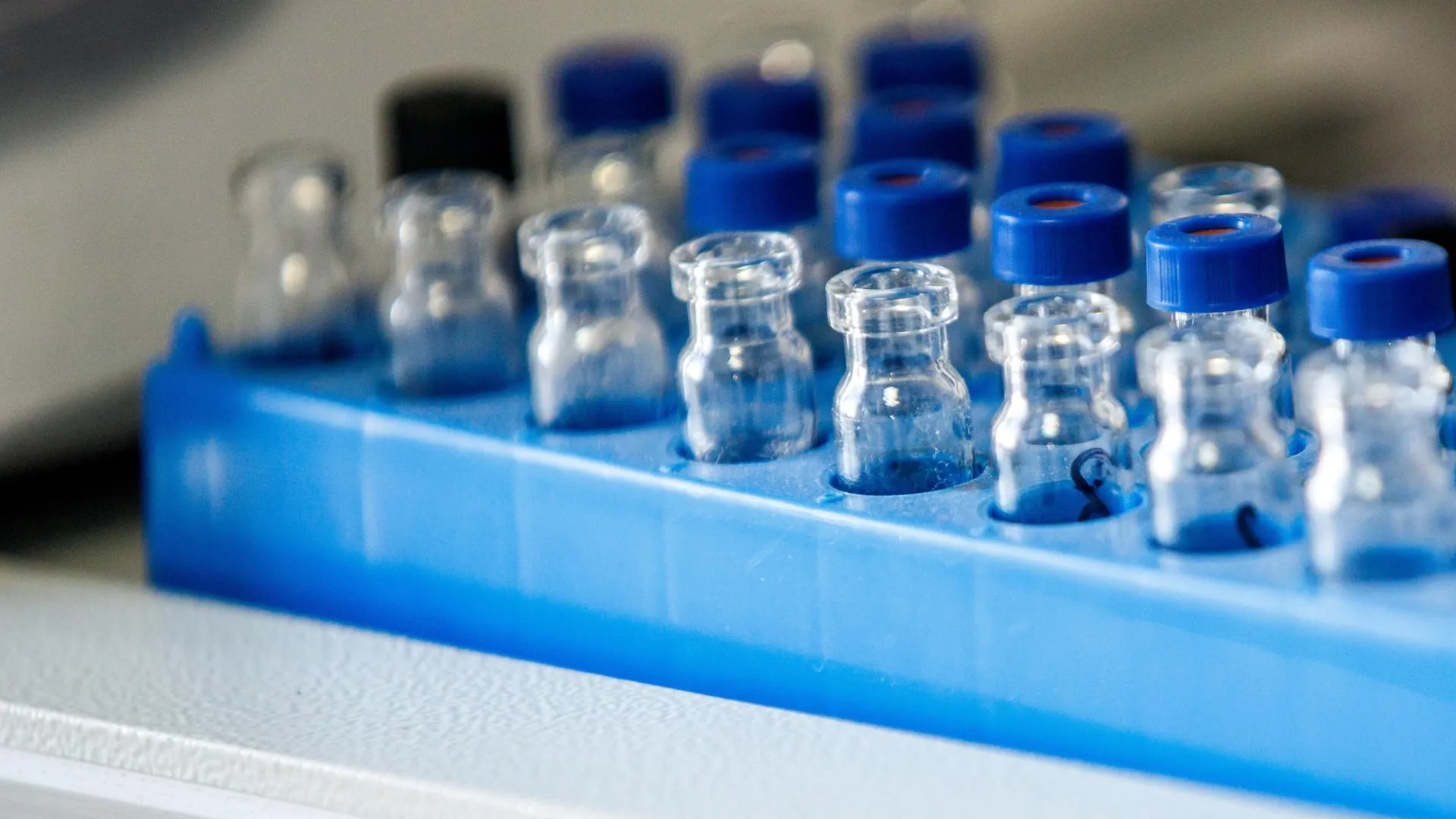 Ilya Moskovets/URA.RU