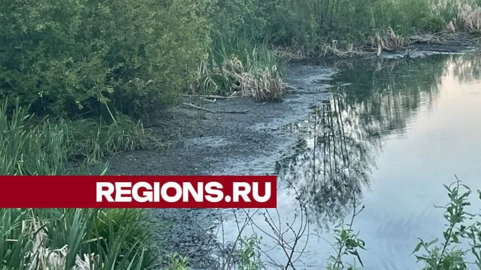 Фото: t.me/rusavkino_romanovo