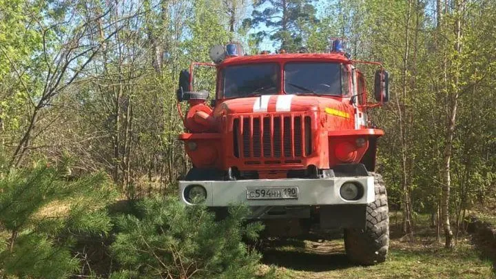 В Подмосковье ликвидировали лесной пожар