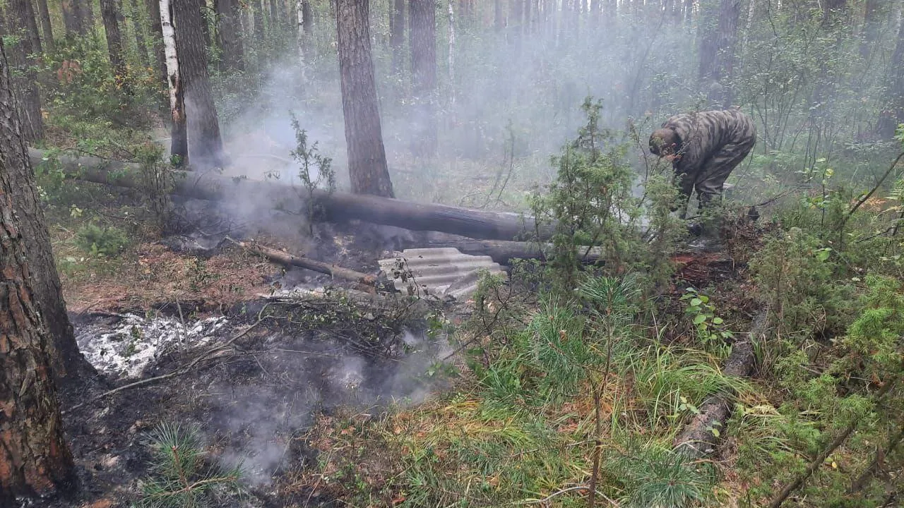 Комитет лесного хозяйства Московской области