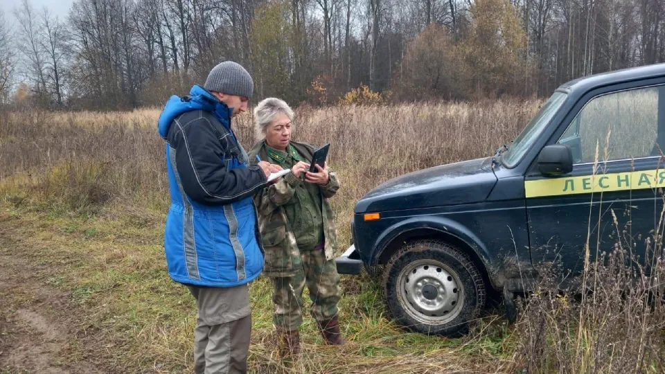 Фото: Комитет лесного хозяйства Московской области