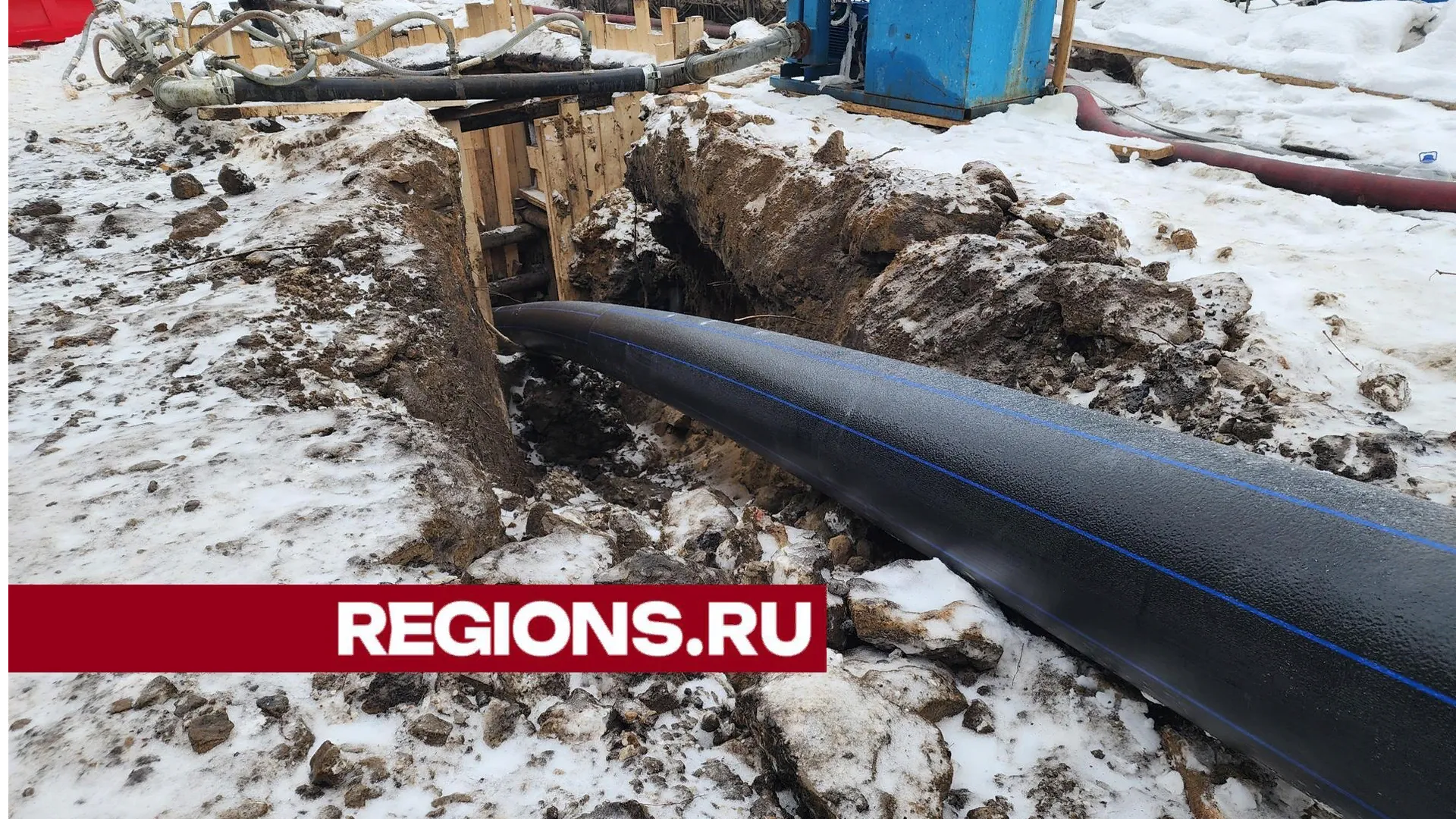 Фото: Ольга Сычева