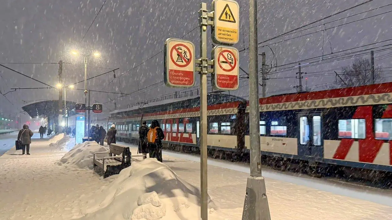 REGIONS/Анастасия Малышенко