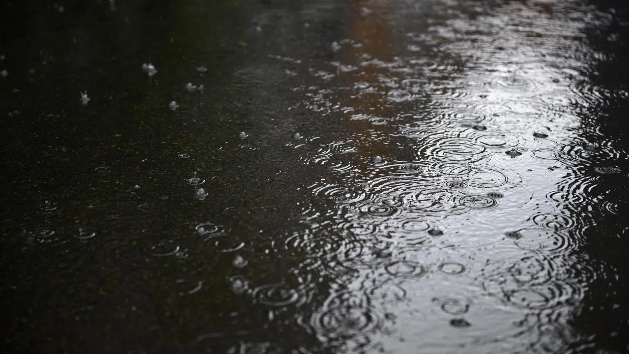 медиасток.рф