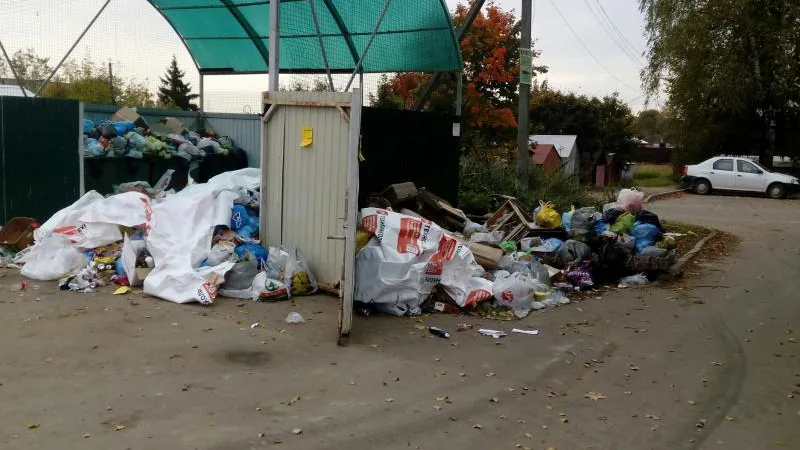 Мусор со зловонной свалки под Солнечногорском не вывозят уже больше месяца