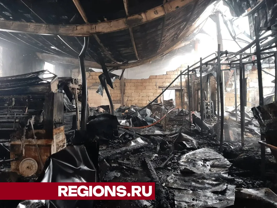 Фото: МЧС России&nbsp;