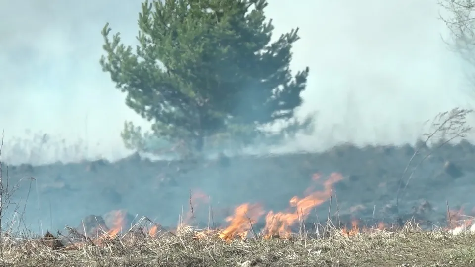 Фото: МедиаБанк Подмосковья/Н. Надточая