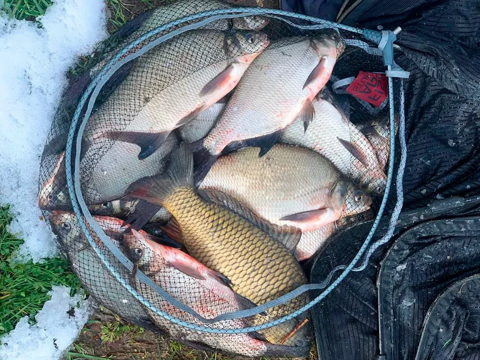 Фото: Тимофей Трофименко