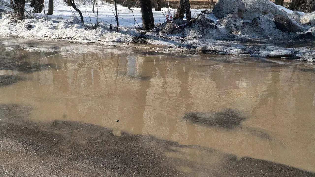 REGIONS/Наталья Надточая