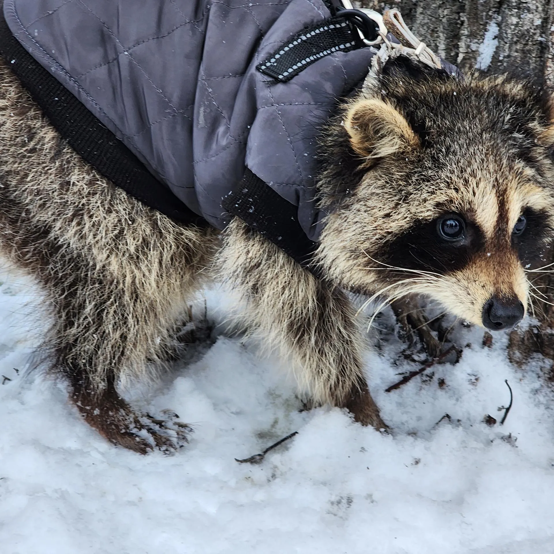 Фото: Юлия Андросова