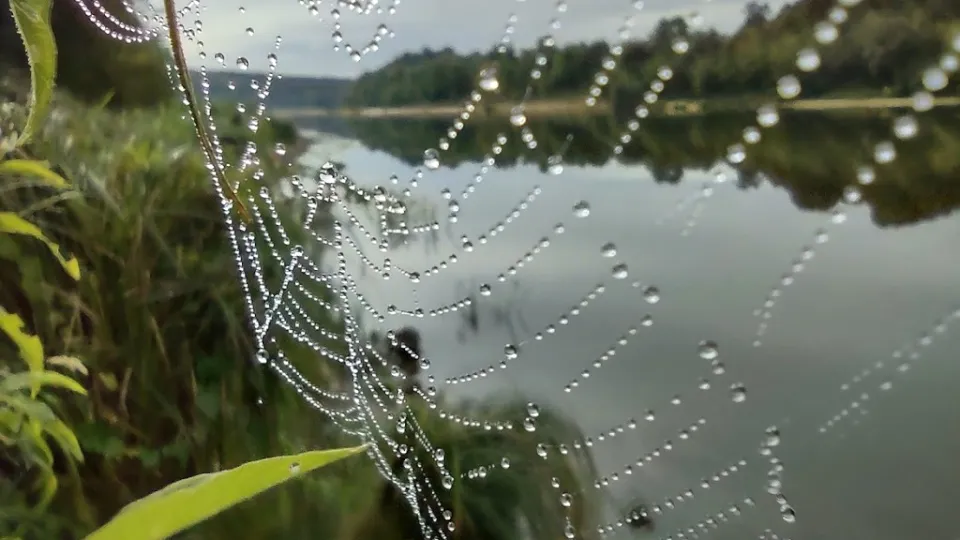 Фото: REGIONS/Алексей Селиверстов