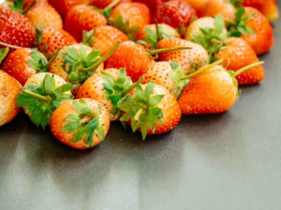 Фото: freepik.com