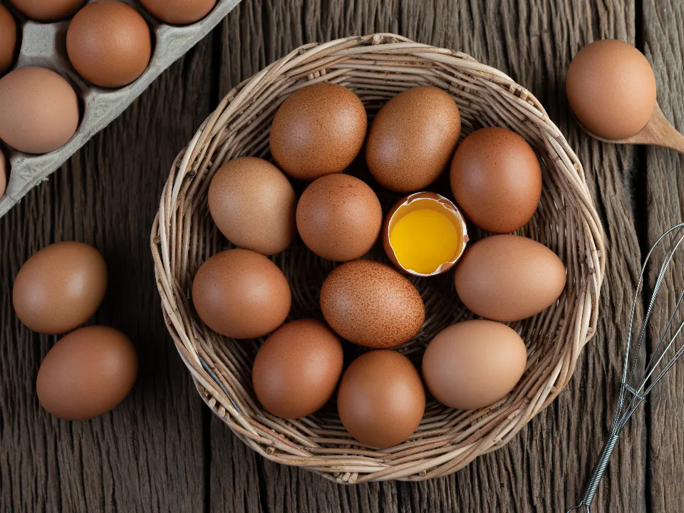 Фото: freepik.com