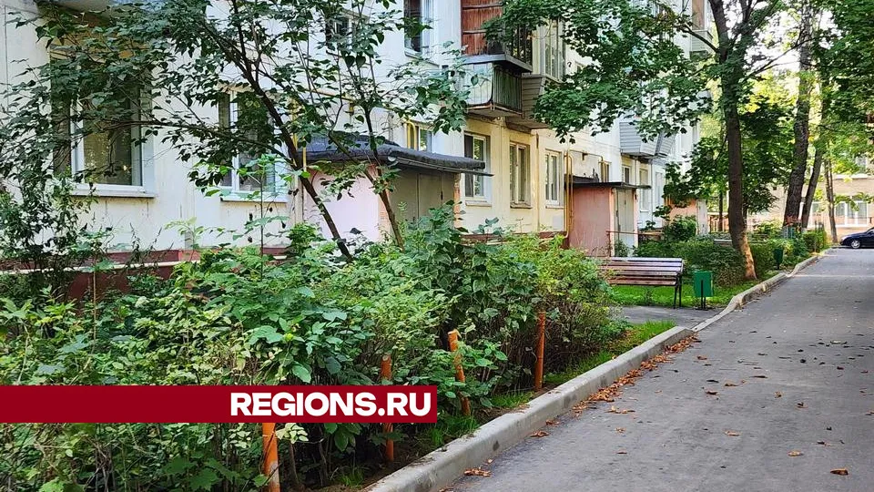 Фото: Роман Савельев