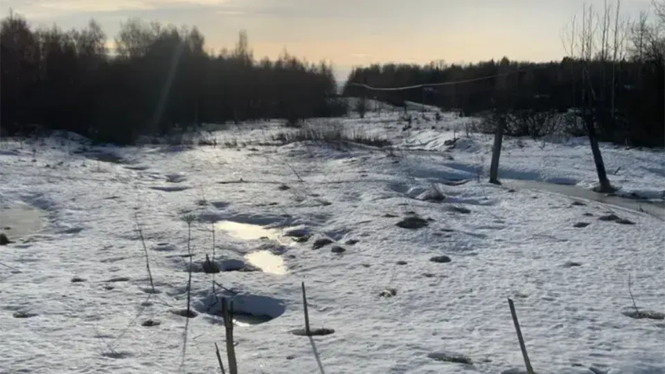 Фото: Единый портал торгов Московской области ЕАСУЗ