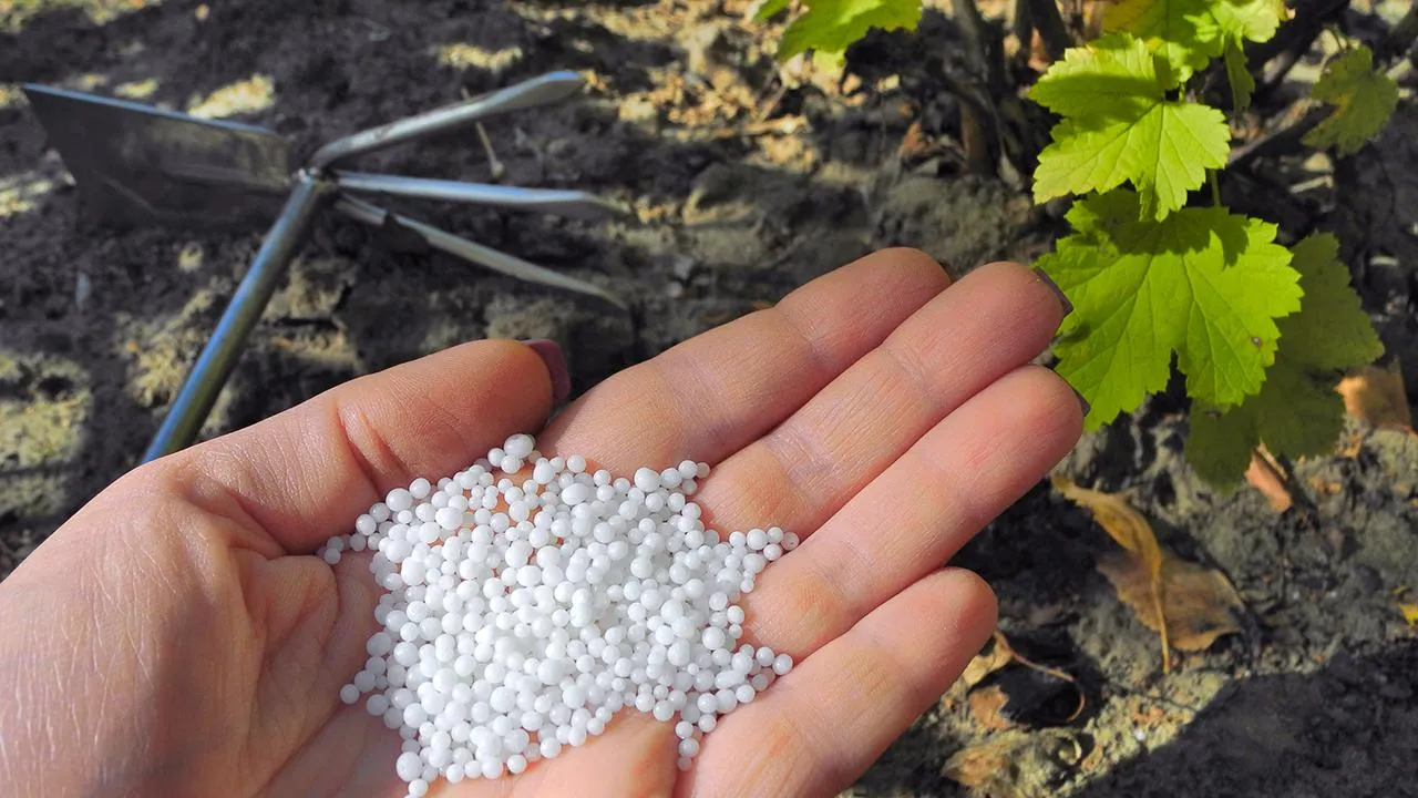 istockphoto.com/Yana Boiko