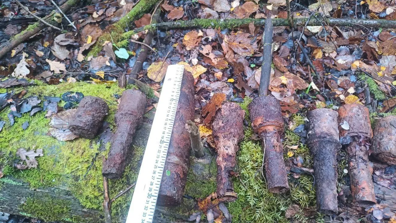 Фото: ГКУ МО «Мособлпожспас»