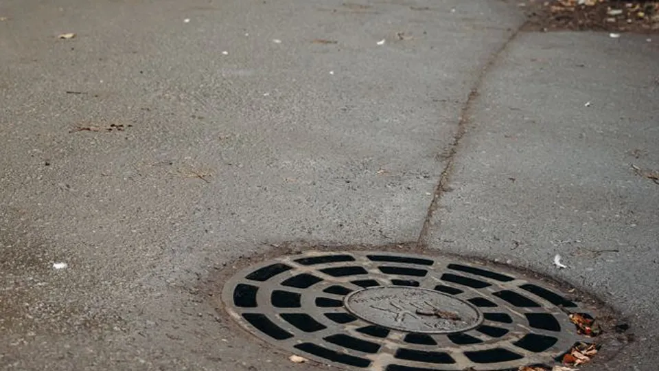 Фото: пресс-служба администрации г.о. Щелково