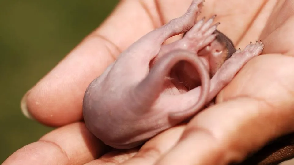 Фото: istockphoto.com